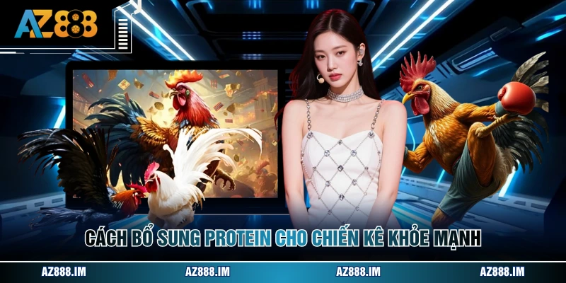 Cách bổ sung protein cho chiến kê khỏe mạnh