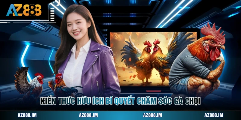 Kiến thức hữu ích bí quyết chăm sóc gà chọi