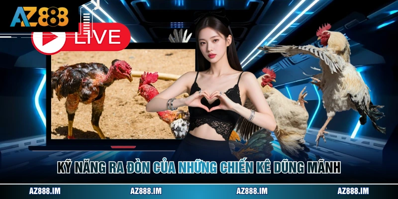 Kỹ năng ra đòn của những chiến kê dũng mãnh