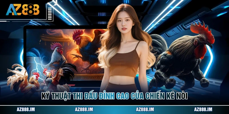 Kỹ thuật thi đấu đỉnh cao của chiến kê nòi