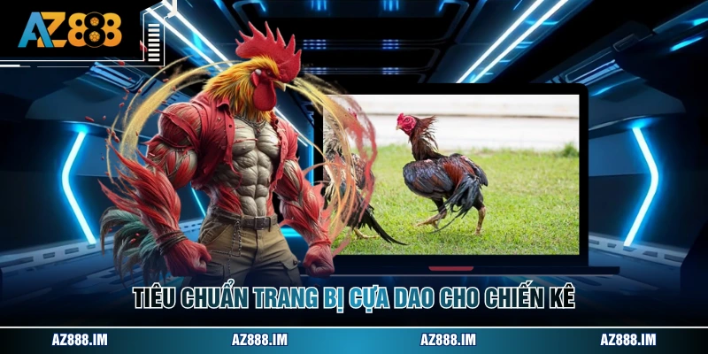 Tiêu chuẩn trang bị cựa dao cho chiến kê