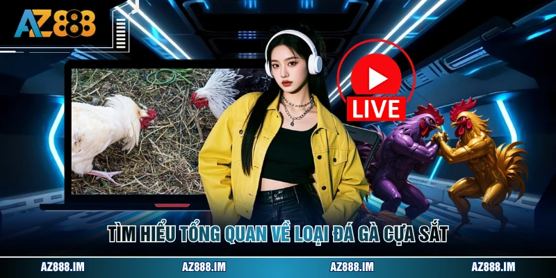 Tìm hiểu tổng quan về loại đá gà cựa sắt