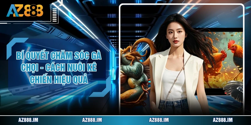 Bí Quyết Chăm Sóc Gà Chọi - Cách Nuôi Kê Chiến Hiệu Quả