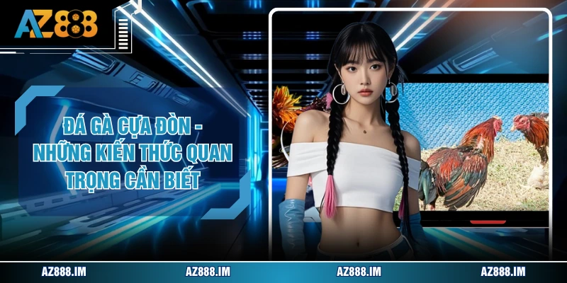 Đá Gà Cựa Đòn - Những Kiến Thức Quan Trọng Cần Biết